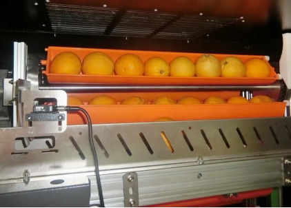 Fruta Juice Vending Machine 800W del mercado negro para las naranjas Apple