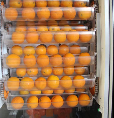 Fruta auto Juice Vending Machine anaranjado fresco 1000W para la tienda del supermercado