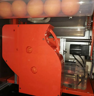 Juice Machine anaranjado que vende fresco automático 800W WD-ORANGE